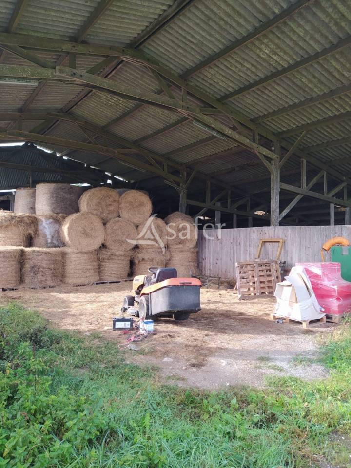 Other agricultural property  Loire-Atlantique
