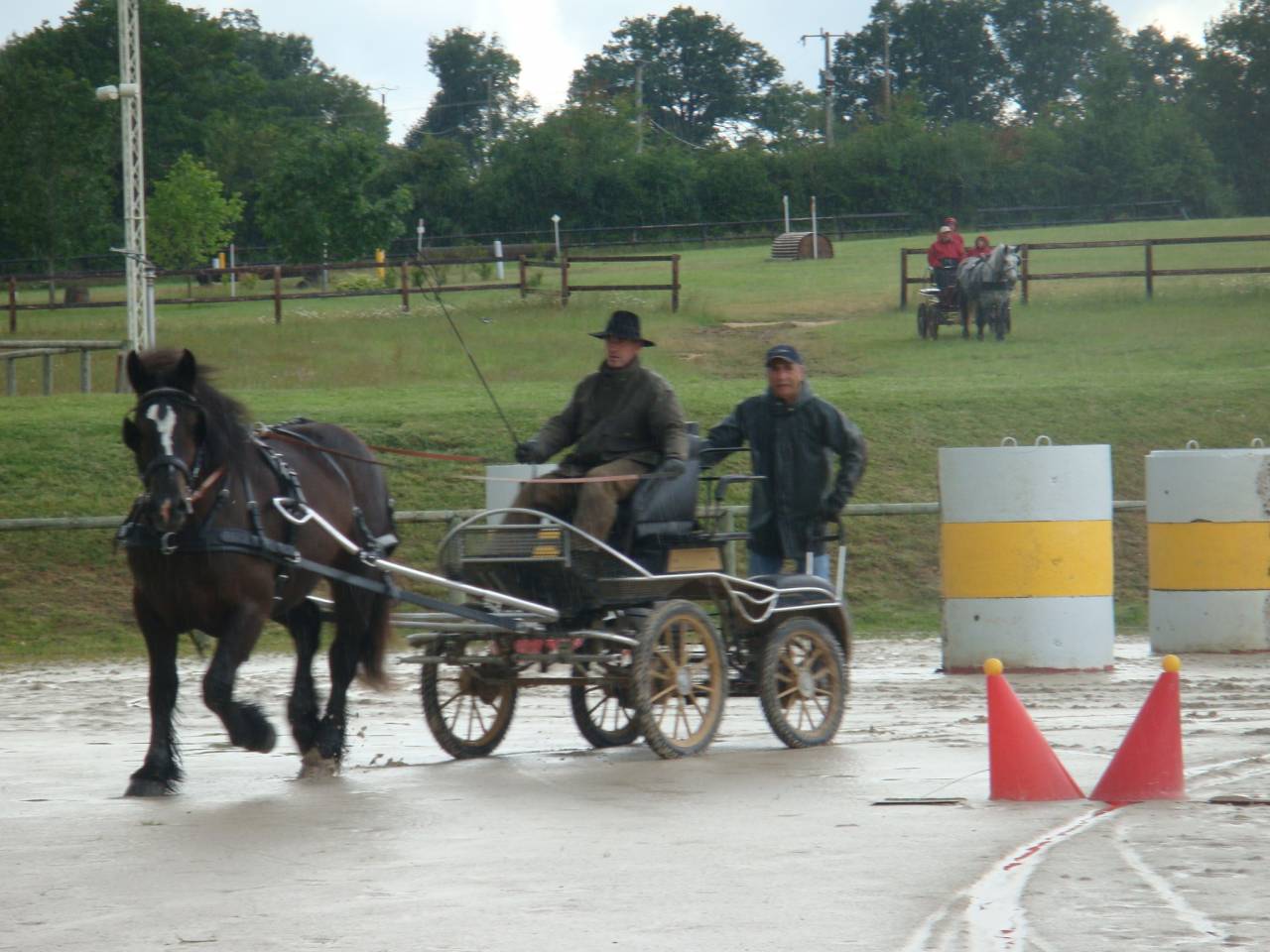 Carriage - Cal&egrave;che   