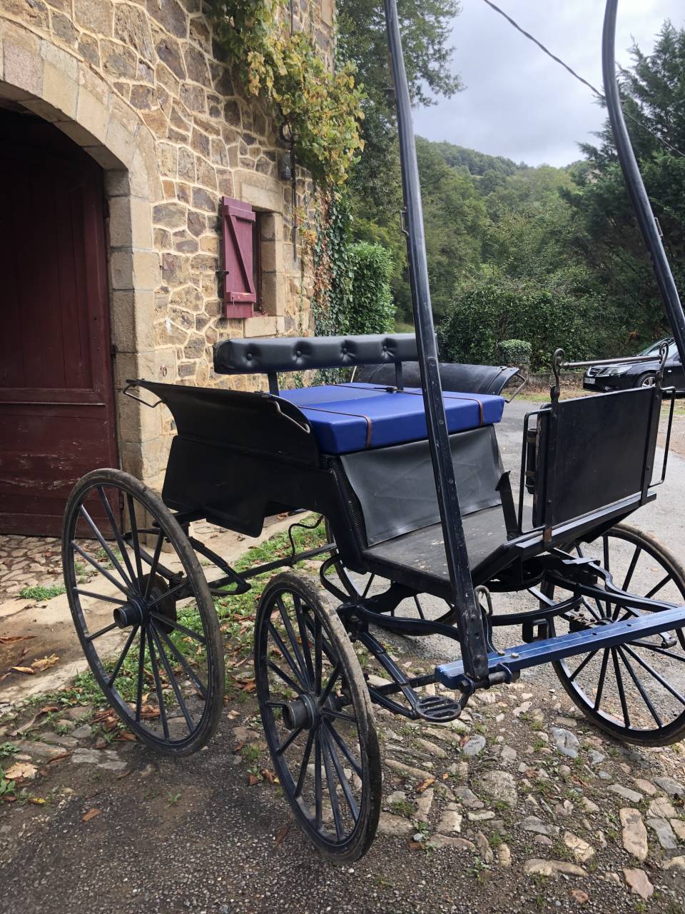 Carriage - Cal&egrave;che   