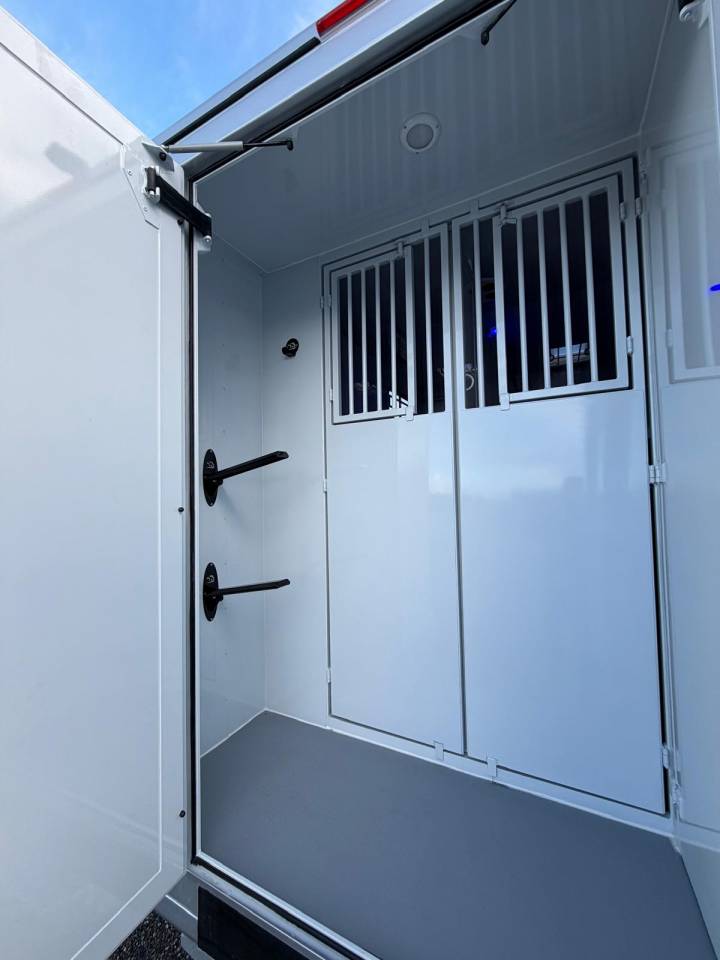 Horsebox HGV TBST Renault Master 2026 New