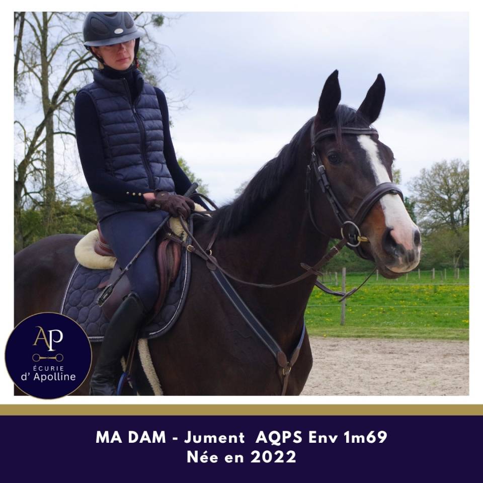 Mare AQPS For sale 2022 Bay