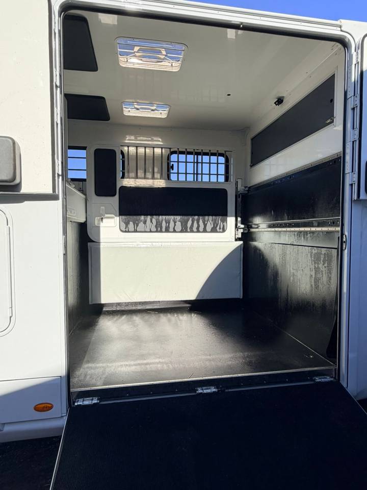 Horsebox HGV Trans Box living 2025 Used