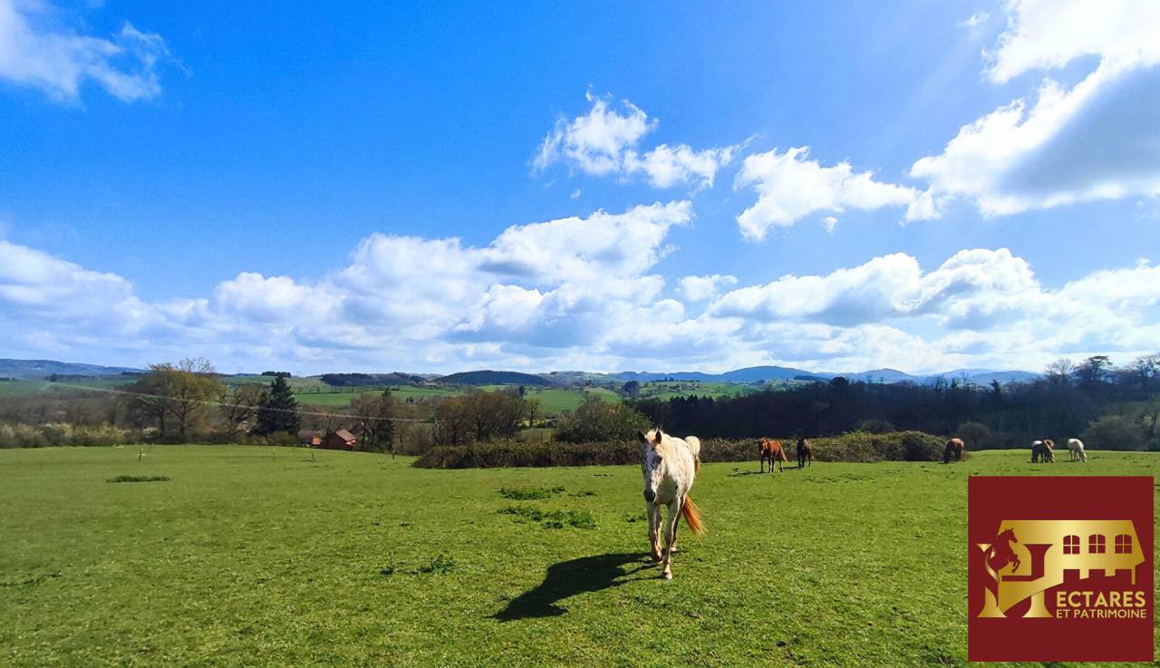 Equestrian property  Allier