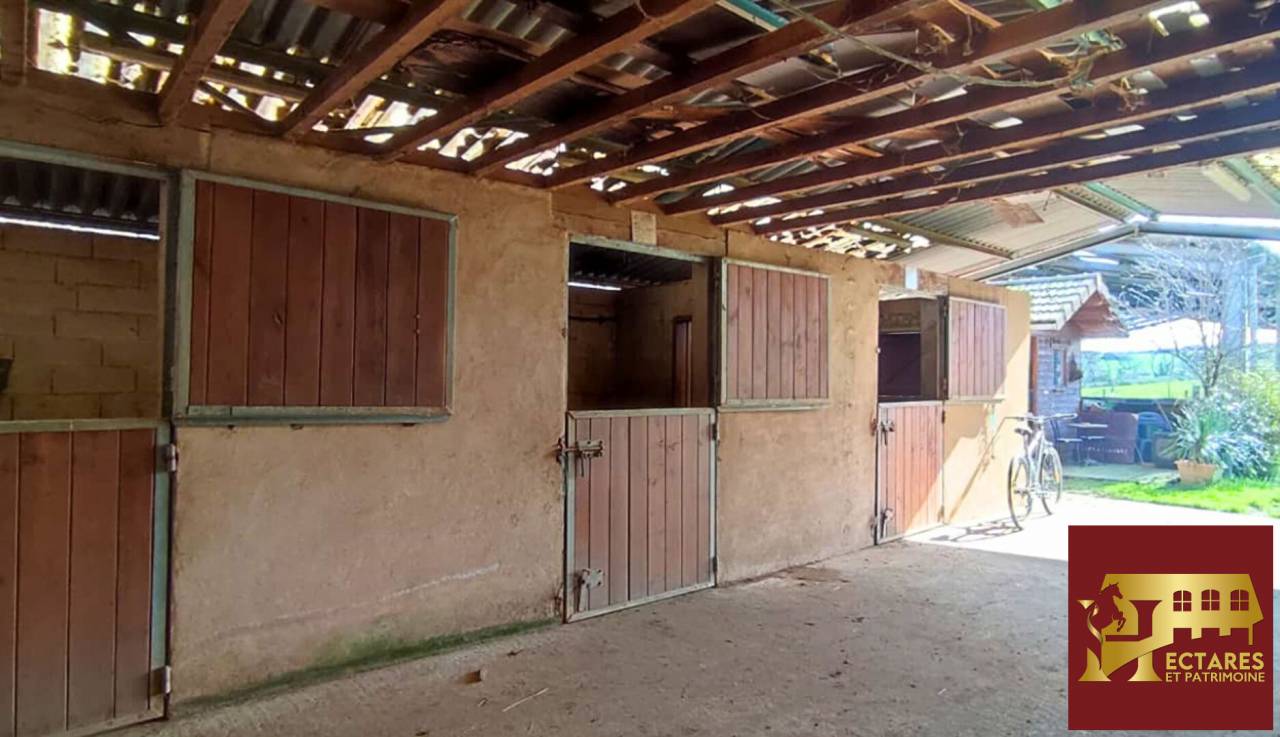 Equestrian property  Allier