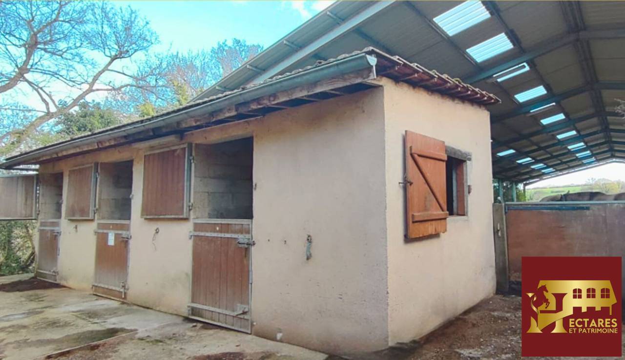 Equestrian property  Allier