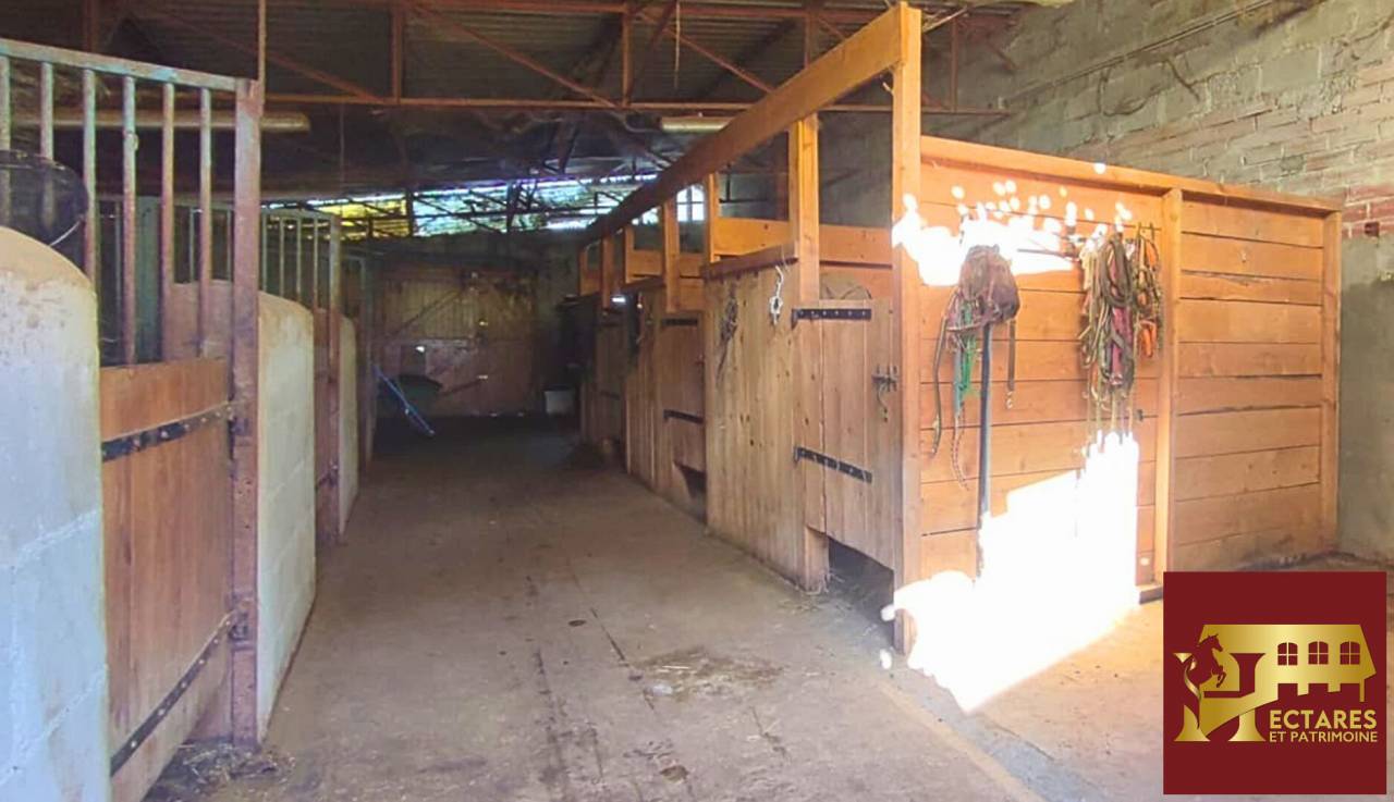 Equestrian property  Allier