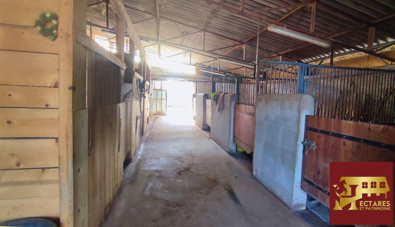 Equestrian property  Allier