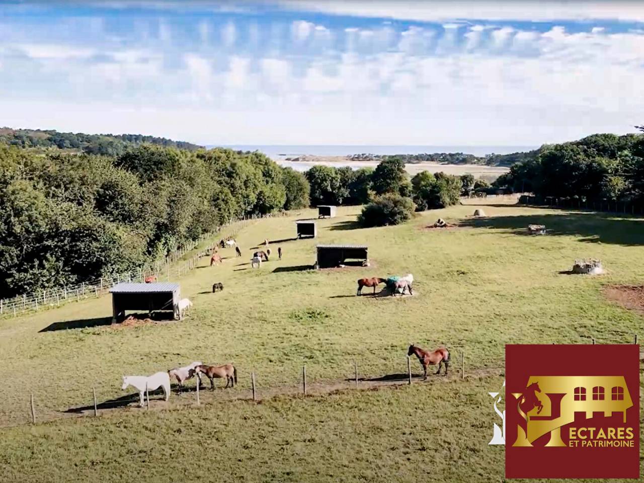 Riding school  C&ocirc;te d'Armor