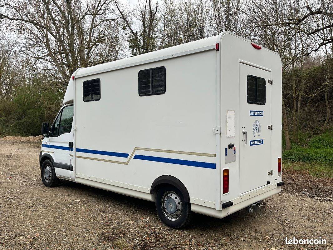 Horsebox HGV Fautras OPEL MOVANO 2008 Used
