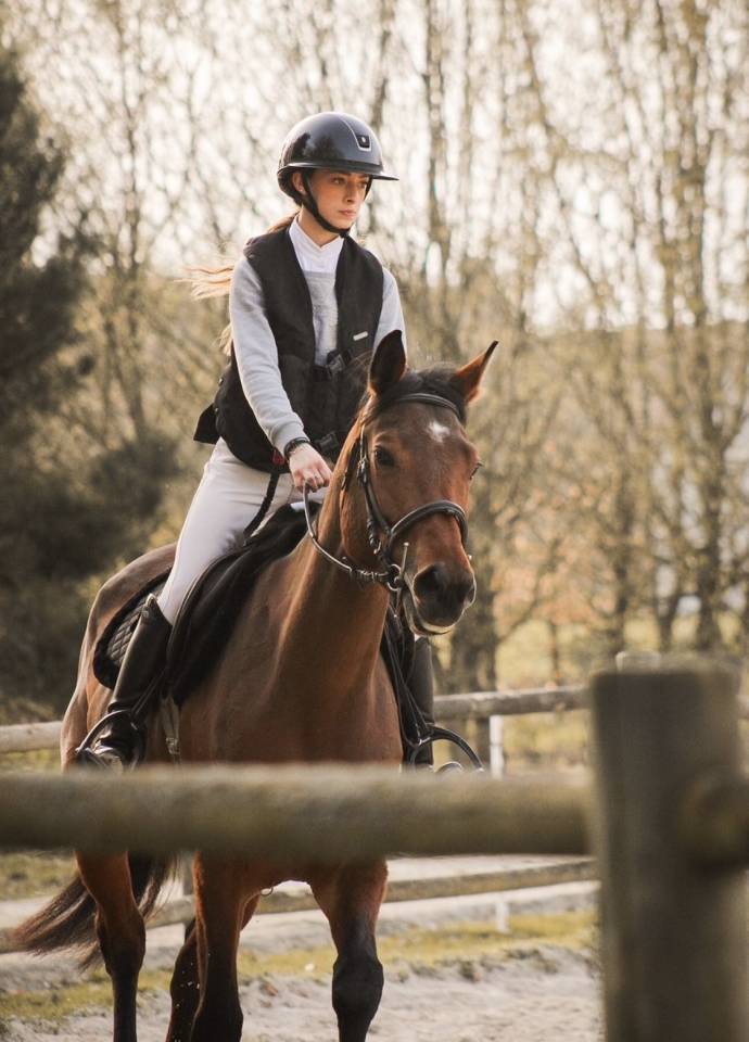 Mare Selle Fran&ccedil;ais For sale 2021 Bay