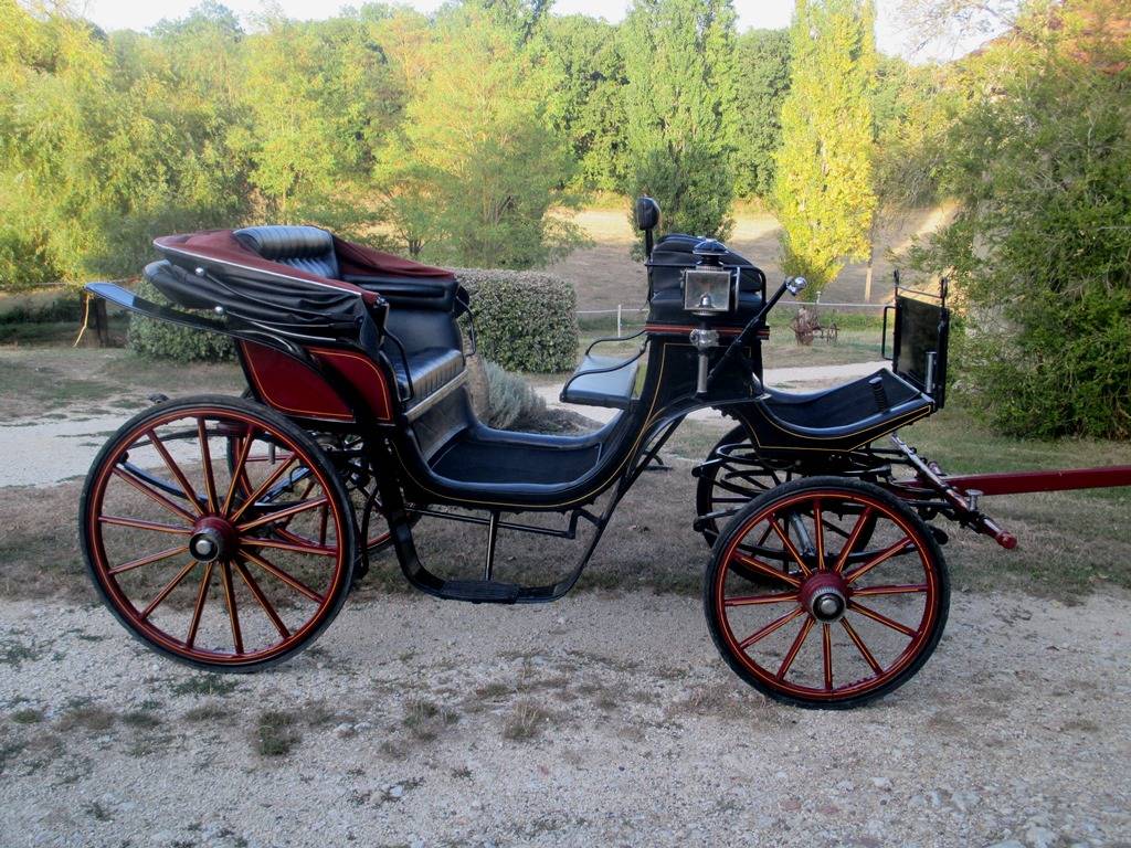 Carriage - Cal&egrave;che  Victoria 
