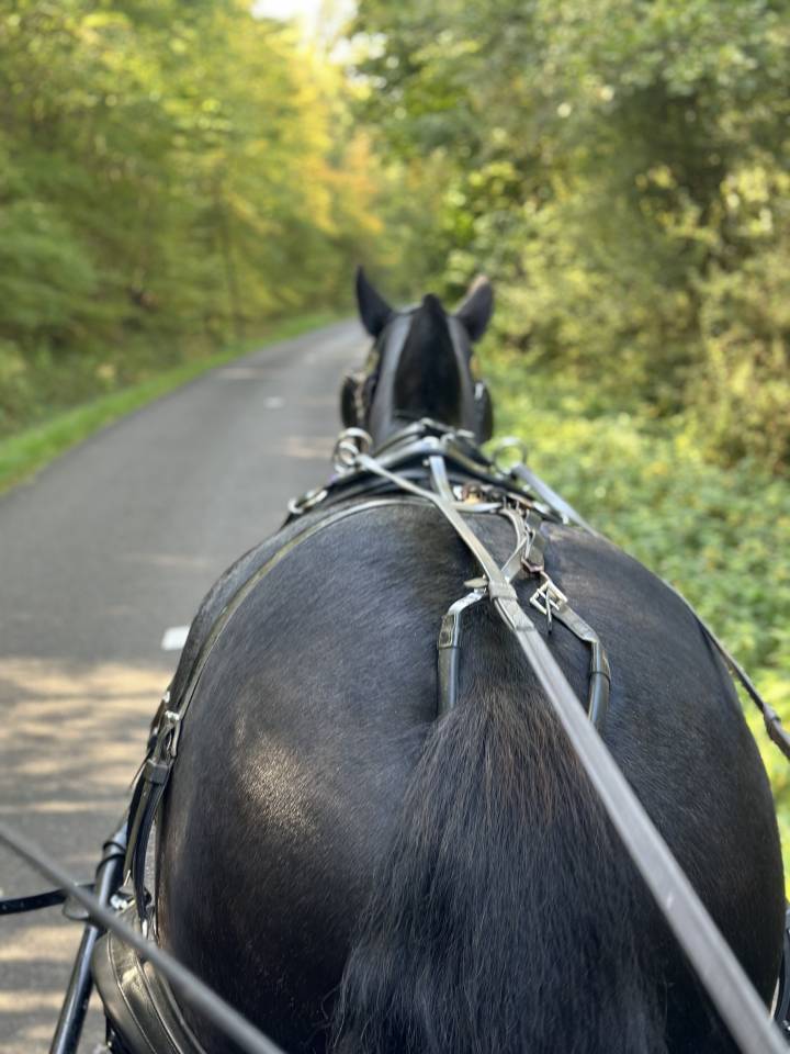 Luxurious equestrian property  Eure