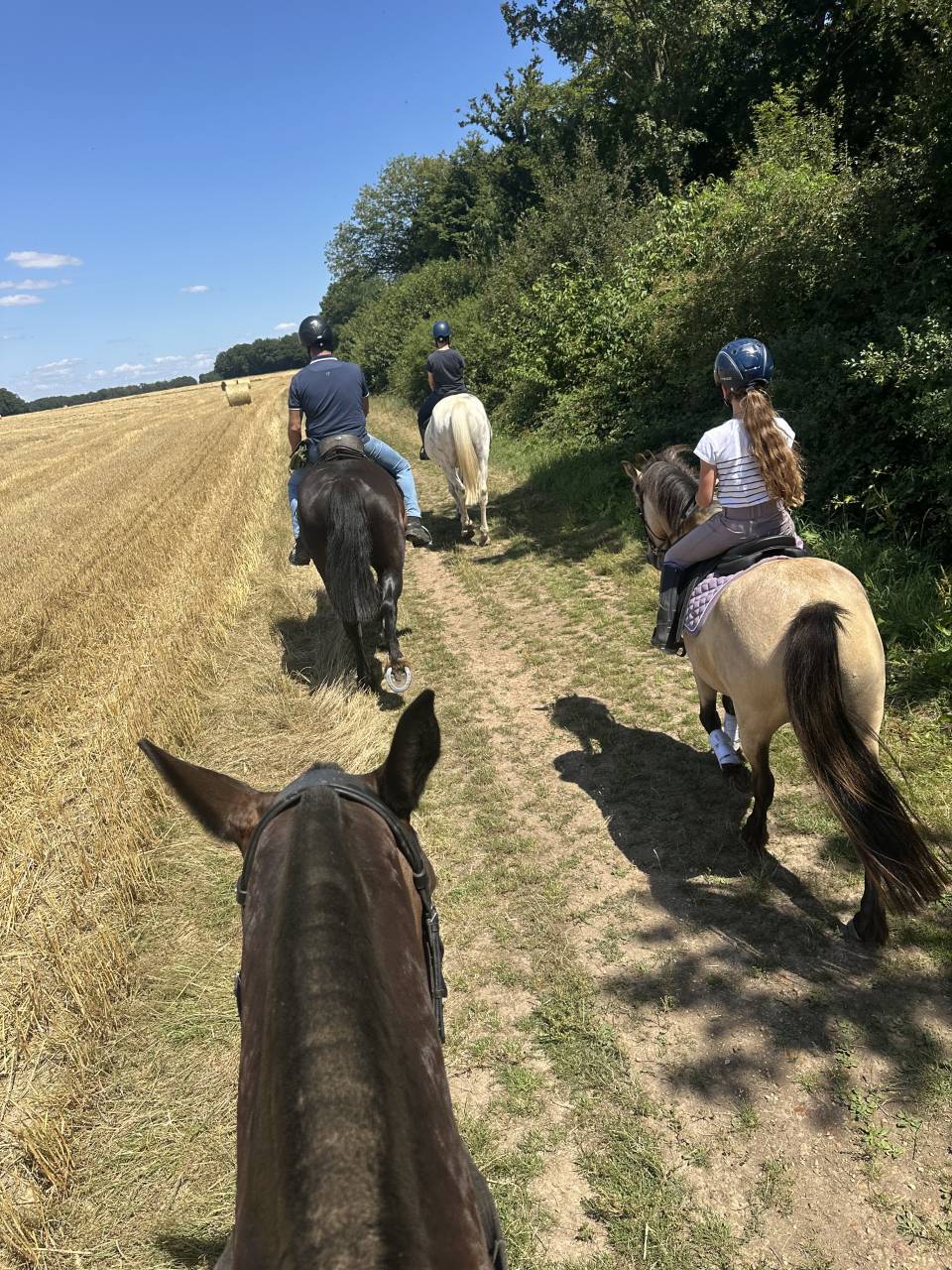 Luxurious equestrian property  Eure