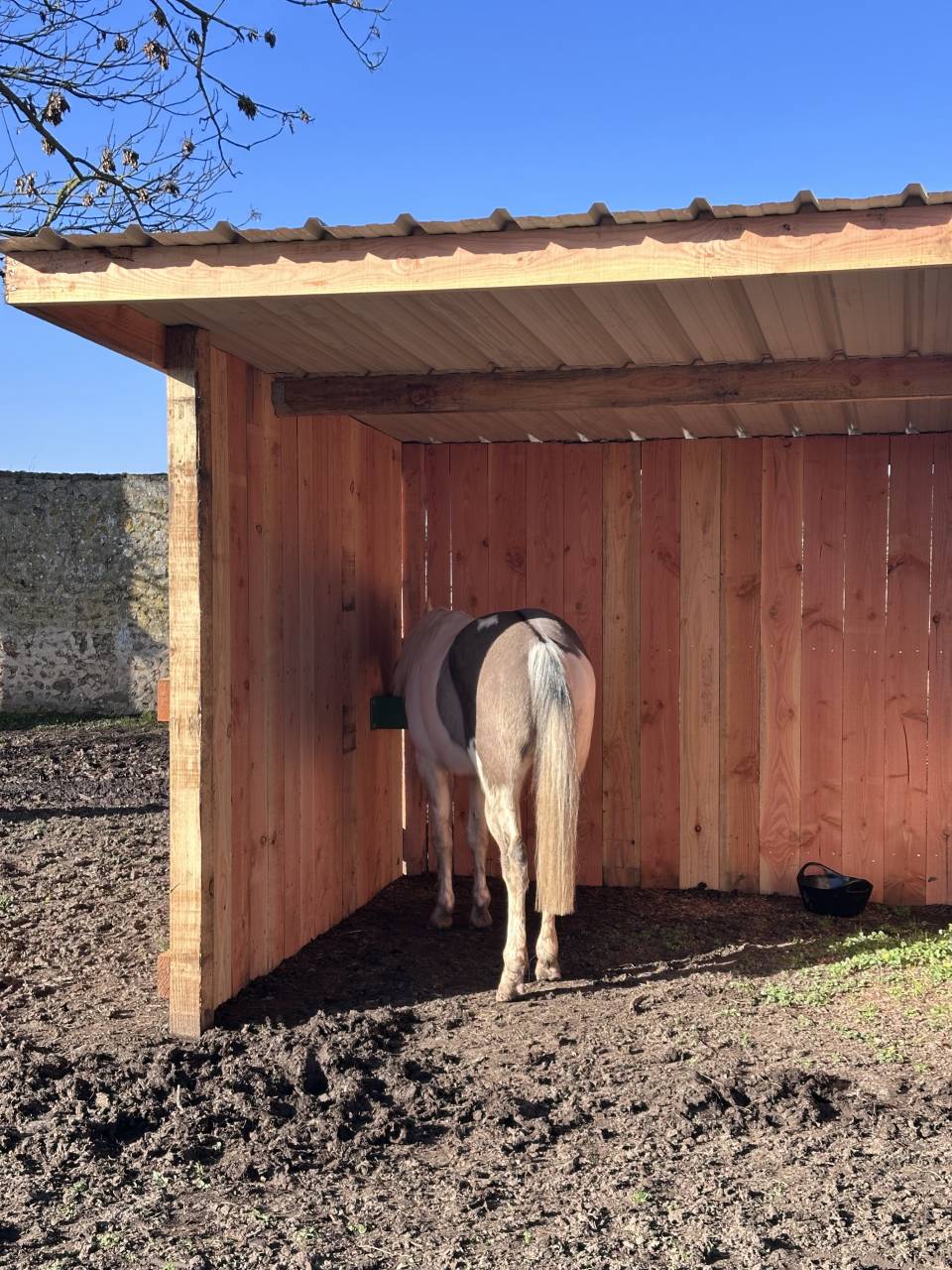 Luxurious equestrian property  Eure