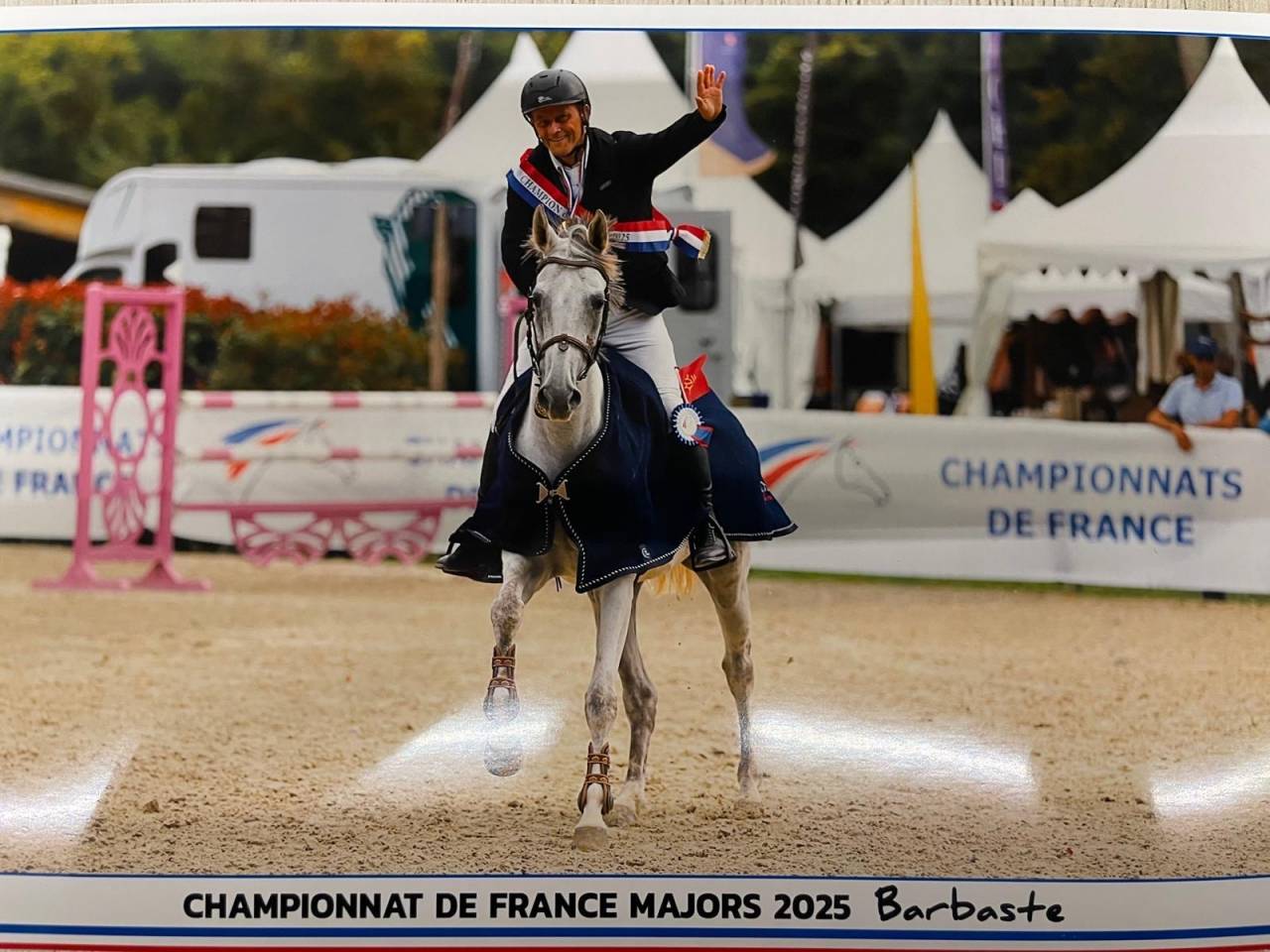 Mare Selle Fran&ccedil;ais For sale 2017 Grey