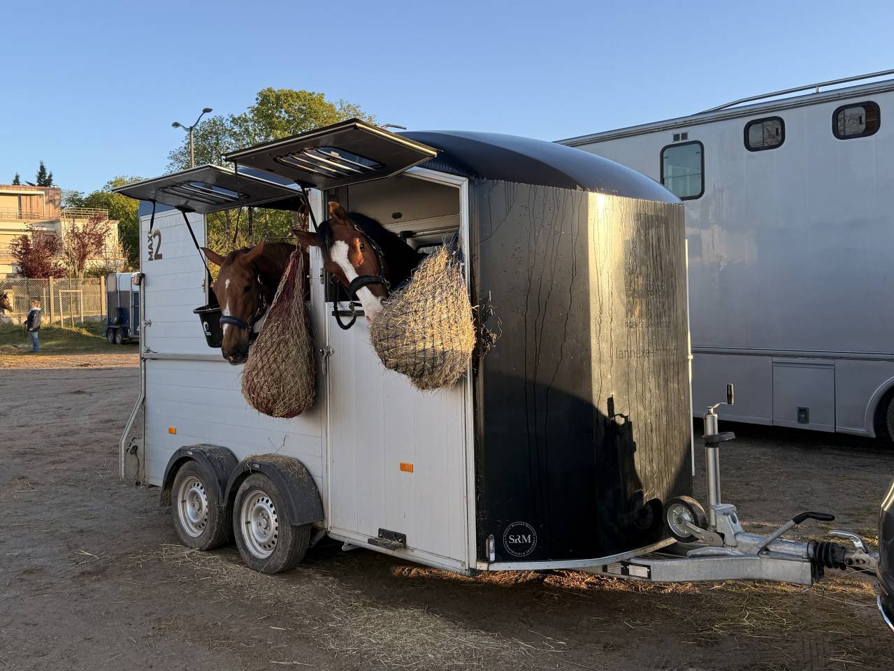 Horse trailer Cheval Liberte Maxi 2 2 Stalls 2021 Used