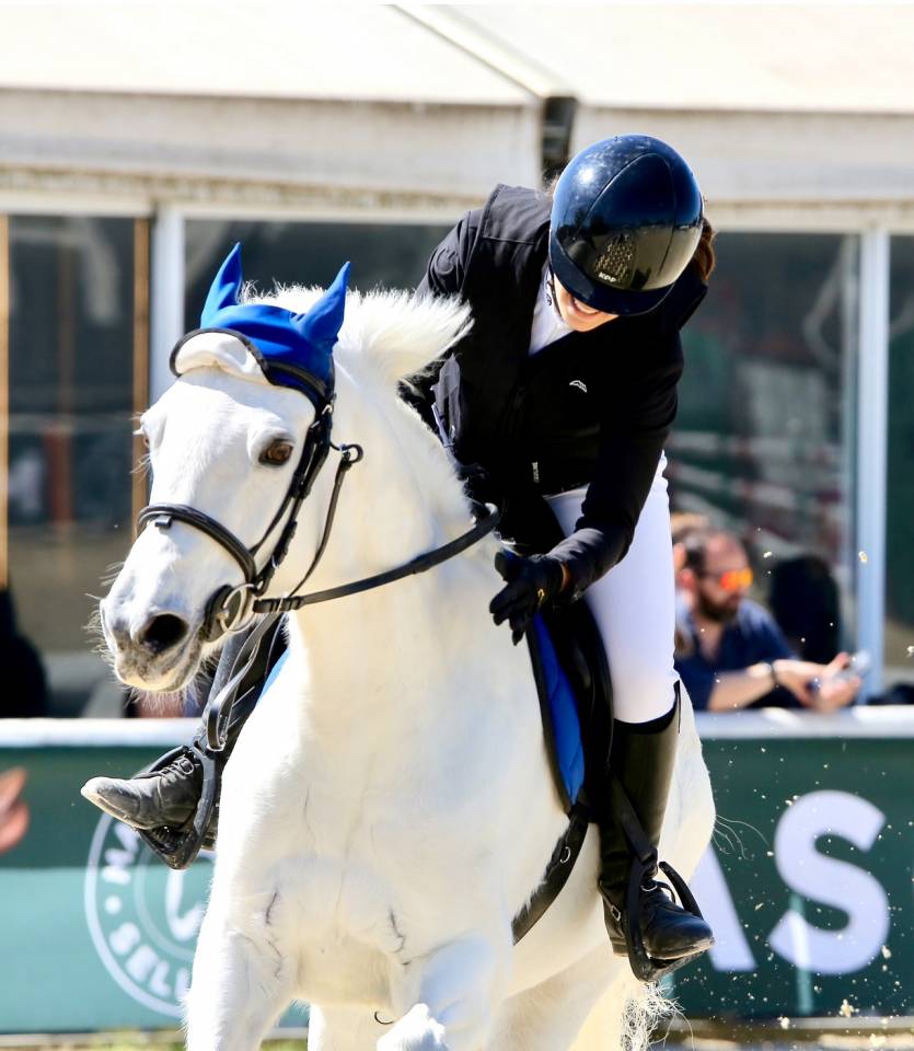 Mare Connemara For sale 2012 Grey