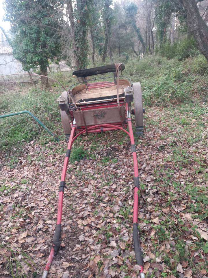 Carriage - Cal&egrave;che   