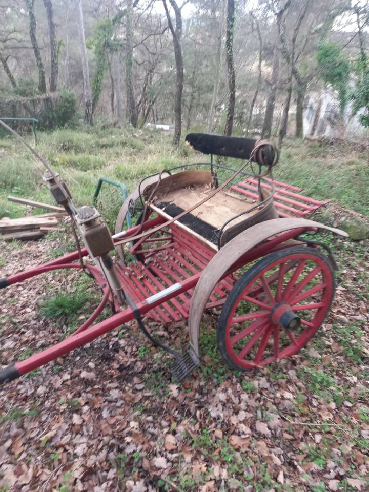 Carriage - Cal&egrave;che   