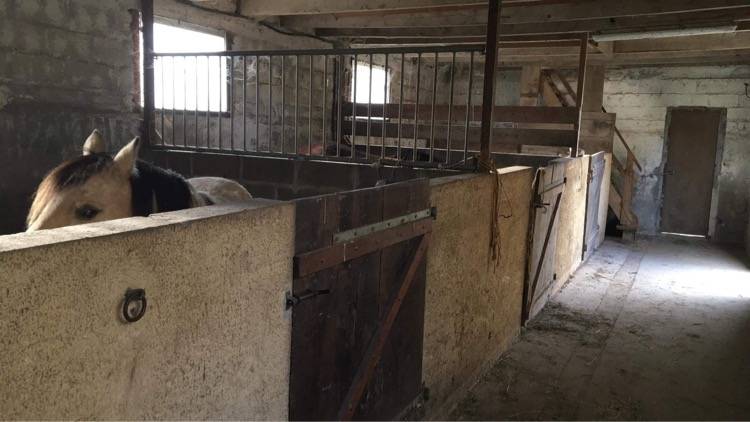 Equestrian property  C&ocirc;te d'Armor