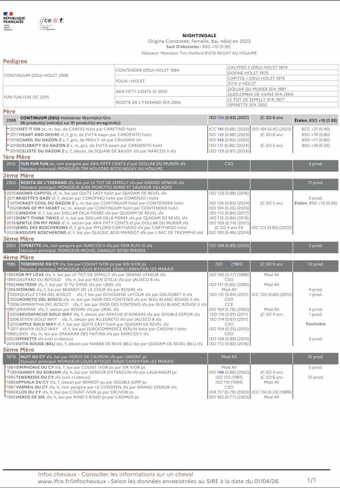 Mare Origin Recorded For sale 2023 Grey