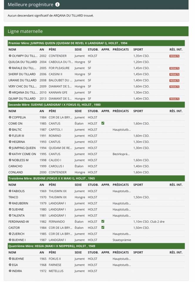Broodmare Selle Fran&ccedil;ais For sale 2010 Bay