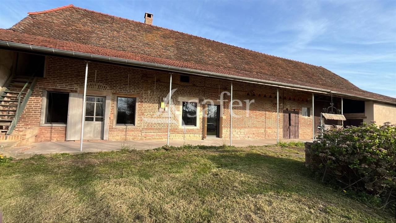 Vegetable farm  Sa&ocirc;ne-et-Loire