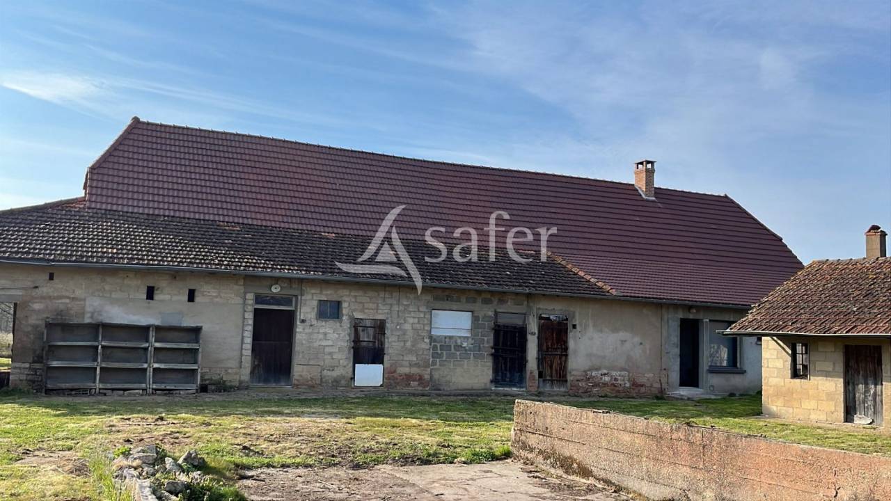 Vegetable farm  Sa&ocirc;ne-et-Loire