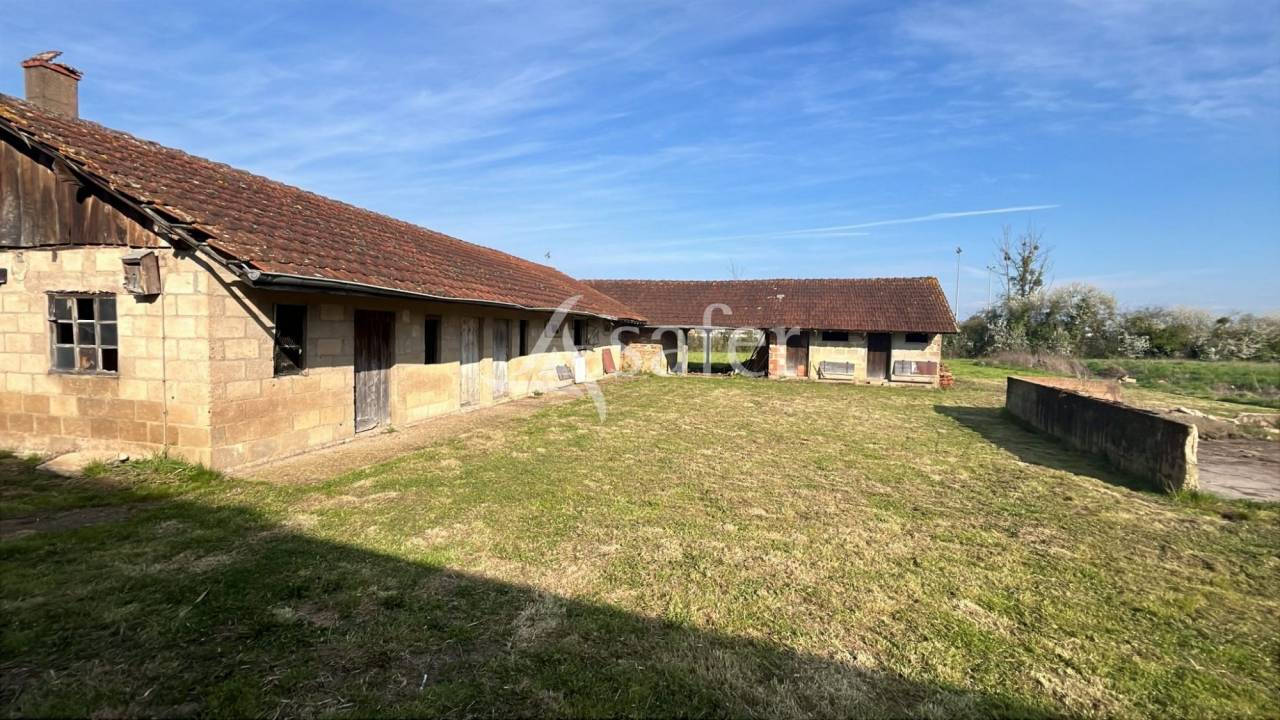 Vegetable farm  Sa&ocirc;ne-et-Loire