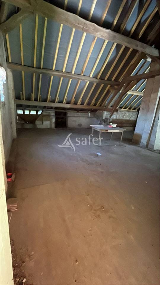 Vegetable farm  Sa&ocirc;ne-et-Loire