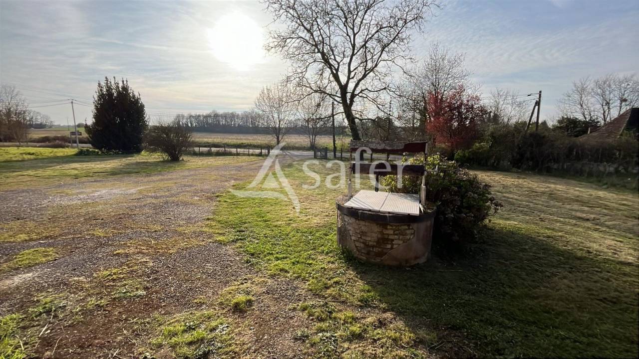 Vegetable farm  Sa&ocirc;ne-et-Loire