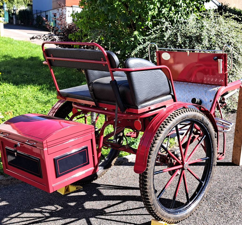 Carriage - Cabriolet - Other brand - Gig d'attelage 
