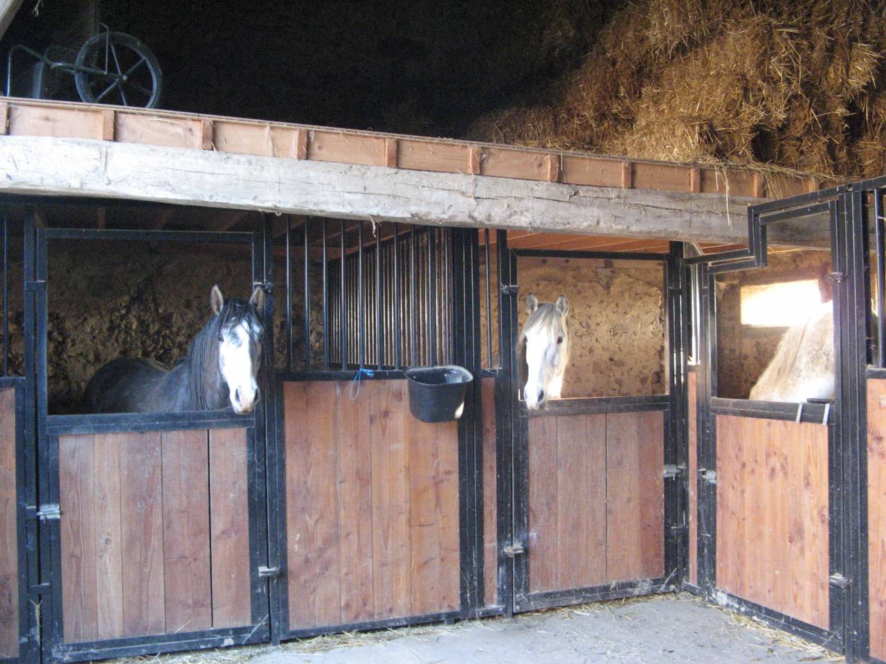 Luxurious equestrian property  Yonne