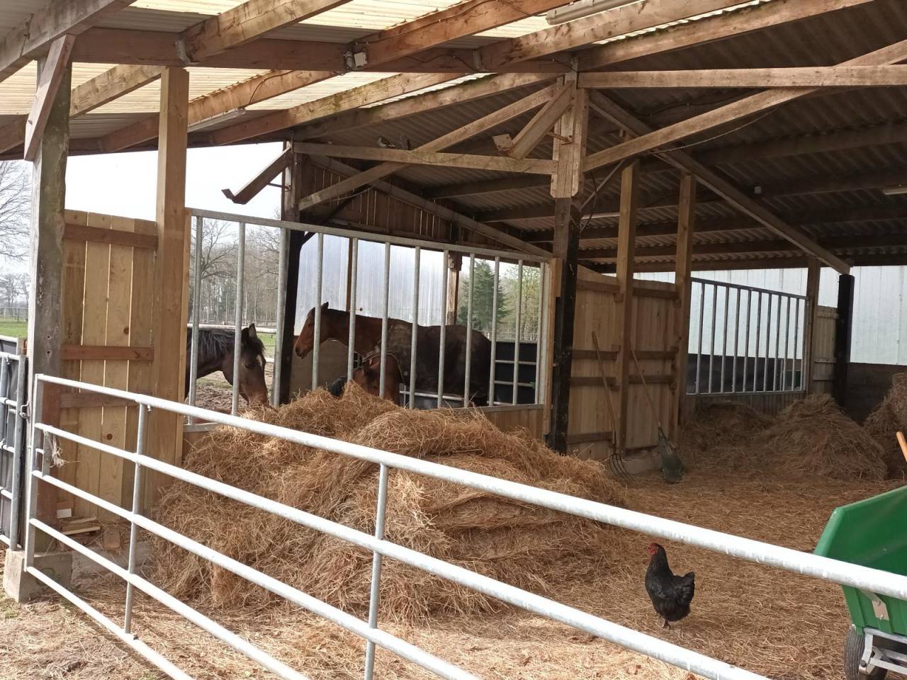 Equestrian property  Loire-Atlantique