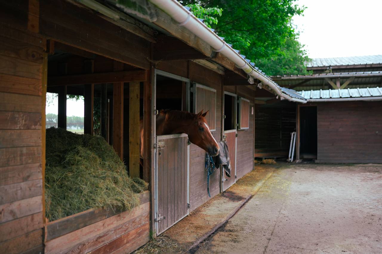 Equestrian property  Loire-Atlantique