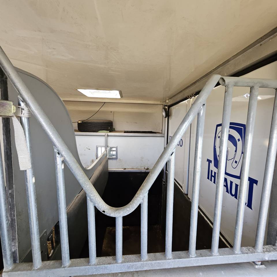 Horsebox HGV Peugeot Boxer  2012 Used