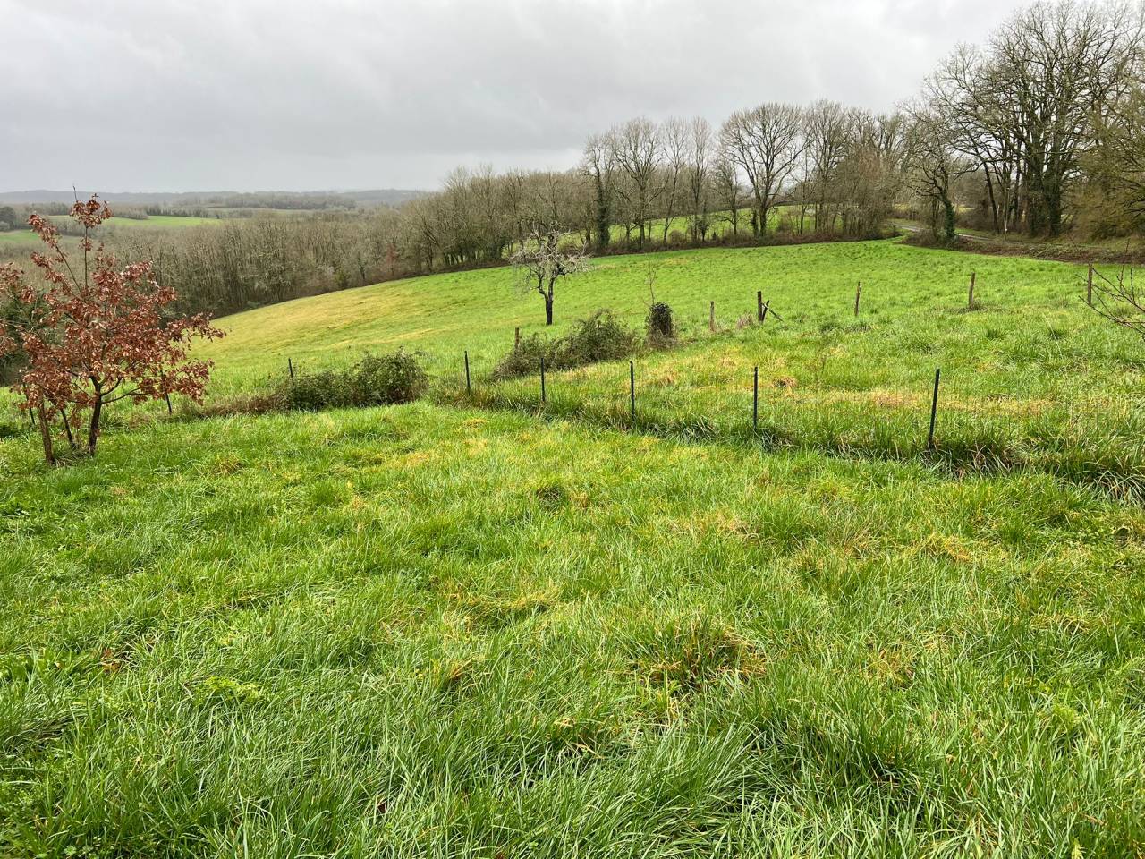Luxurious equestrian property  Dordogne
