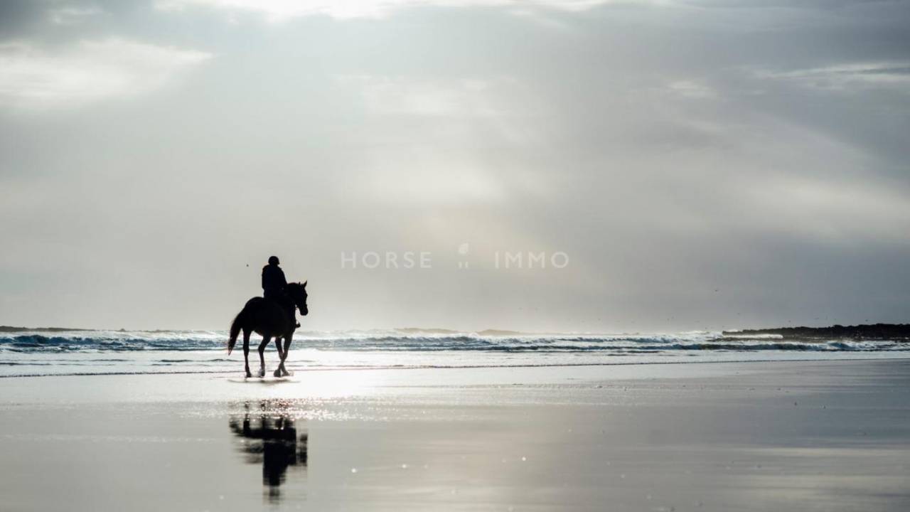 Equestrian property  Bouches-du-Rh&ocirc;ne