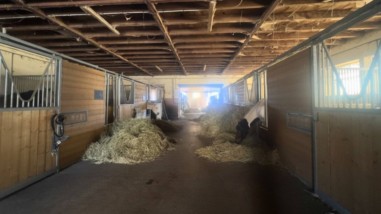 Equestrian property  Aveyron