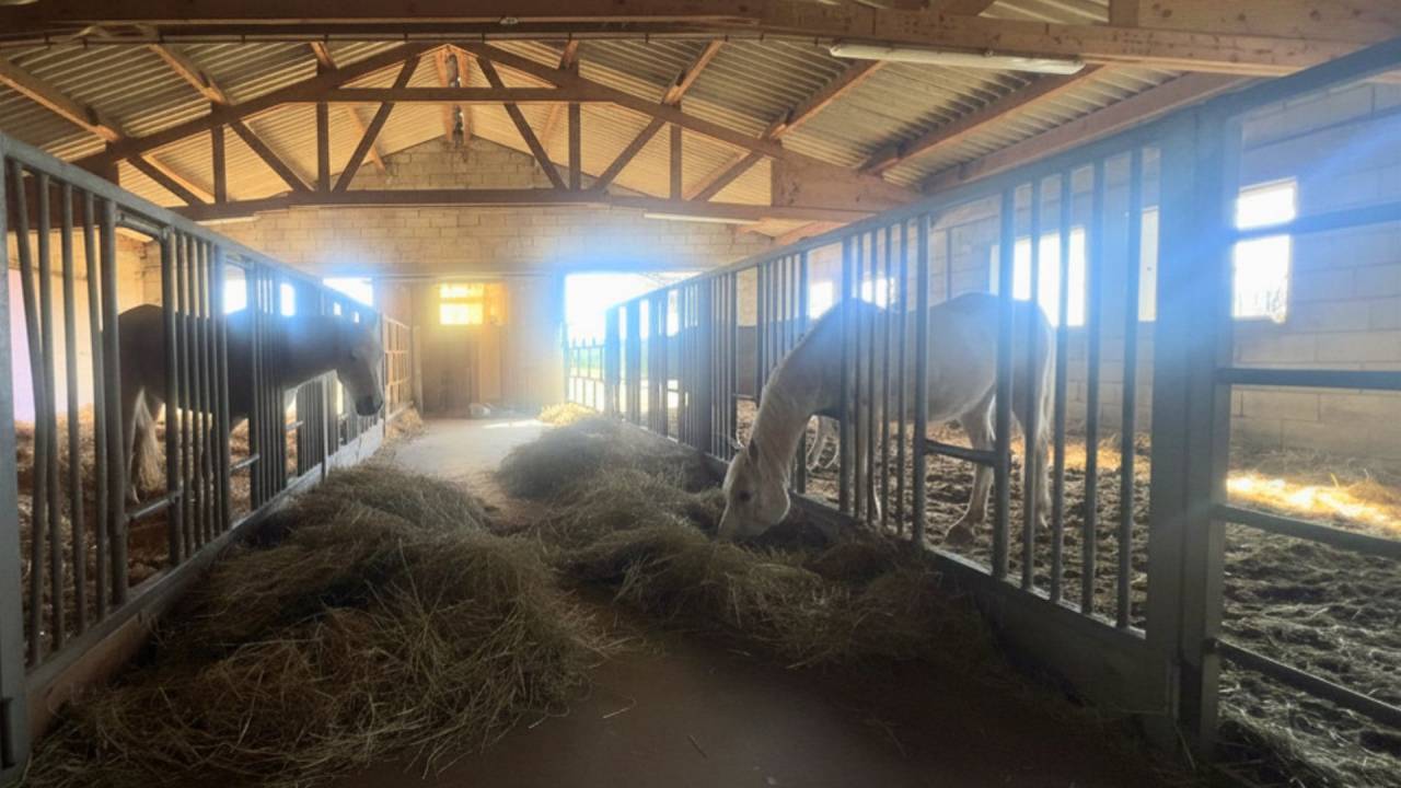 Equestrian property  Aveyron