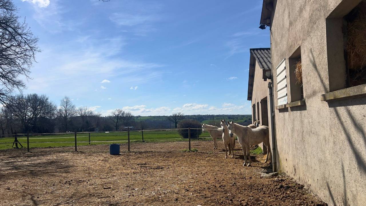 Equestrian property  Aveyron