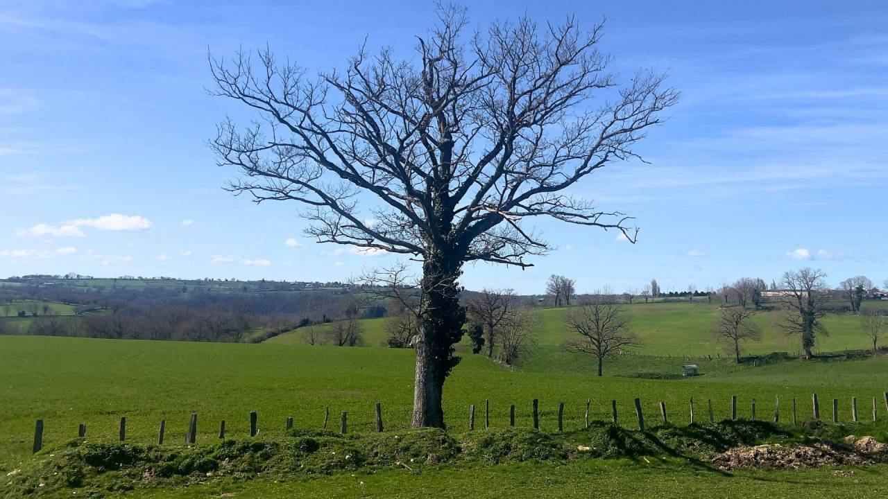 Equestrian property  Aveyron