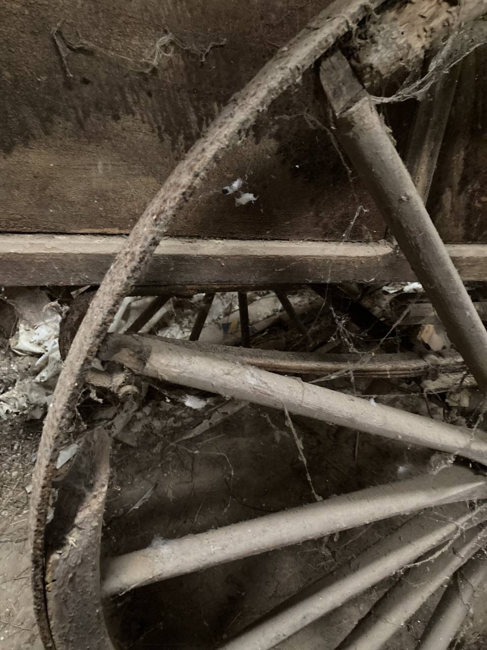 Carriage - Cariole - Other brand -  