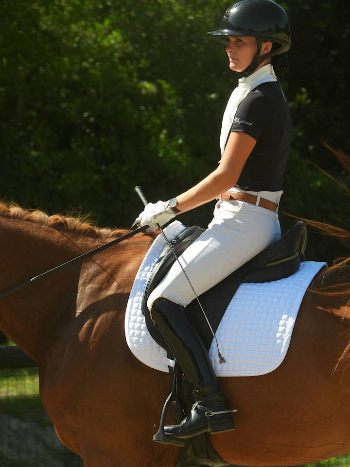 Mare Selle Fran&ccedil;ais For sale 2020 Chesnut