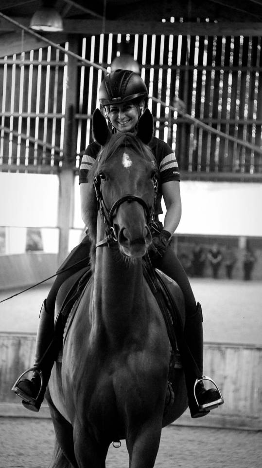 Mare Selle Fran&ccedil;ais For sale 2020 Chesnut