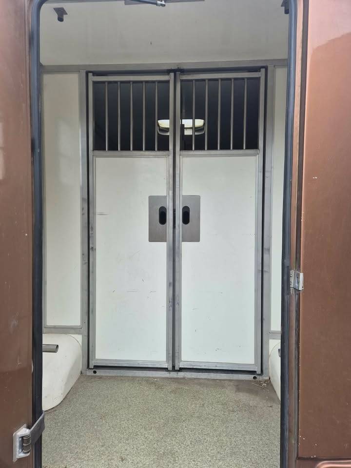 Horsebox HGV Krismar stalles 2017 Used