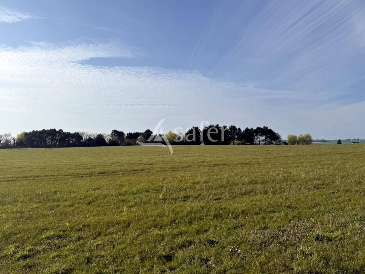 Equestrian property  Indre-et-Loire