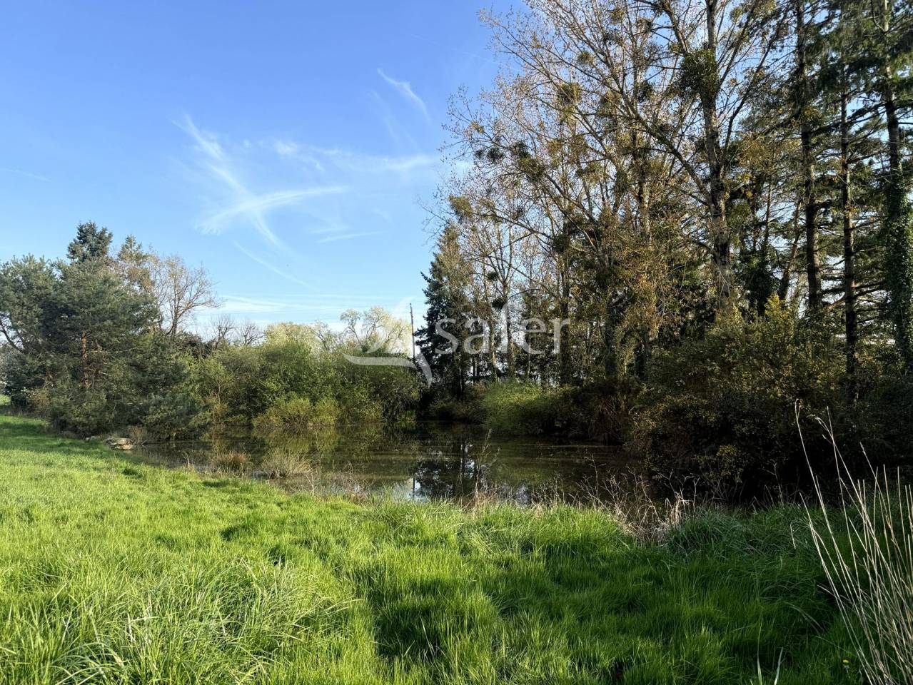 Equestrian property  Indre-et-Loire