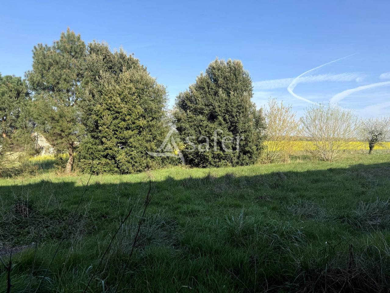 Equestrian property  Indre-et-Loire