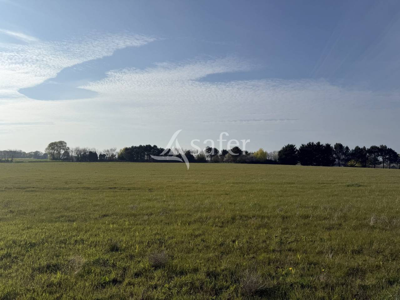 Equestrian property  Indre-et-Loire